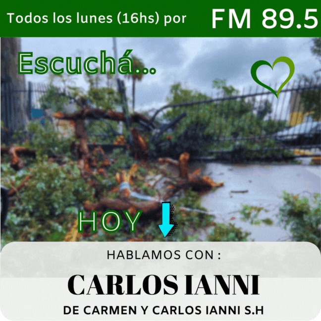 El día después del temporal que azotó a General Rodríguez